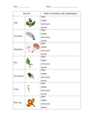 seed dispersal worksheets for key stage 2 science by