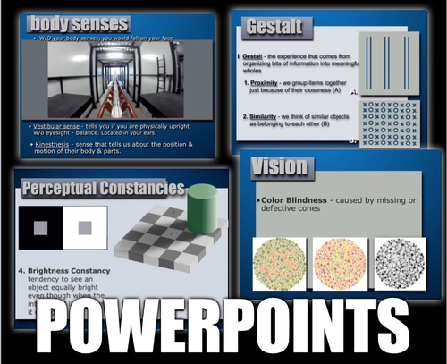 Sensation and Perception Unit: PowerPoint, Worksheets, Plans+Test Video