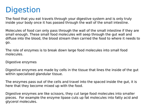 NEW AQA Trilogy GCSE (2016) Biology - Digestive Enzymes | Teaching ...