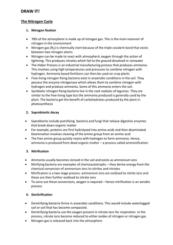 Nitrogen Cycle - Draw It!