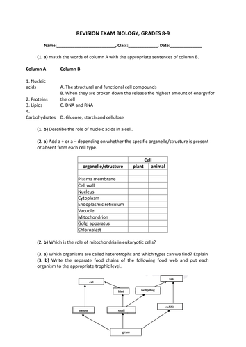 Revision Exam: Biology I