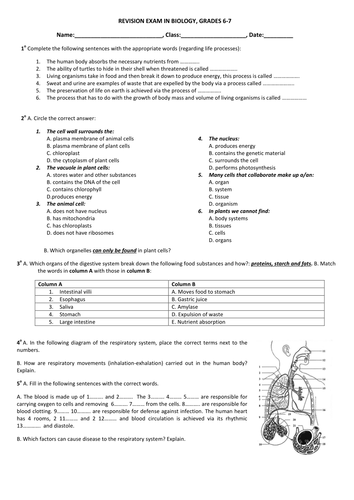 Revision Exam: Biology II