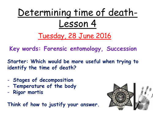 Printables Forensic Entomology Worksheet forensic entomology worksheet abitlikethis worksheet