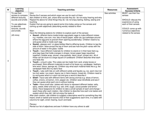 Using our Senses KS1 Lesson Plan | Teaching Resources