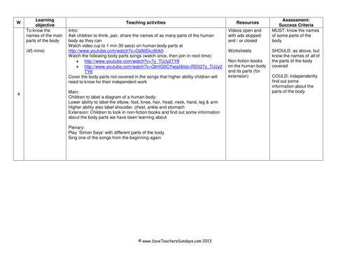 Parts of the Human Body KS1 Lesson Plan and Worksheets | Teaching Resources