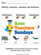 Carnivores And Herbivores Ks1 Lesson Plan Worksheets And Display Card Teaching Resources