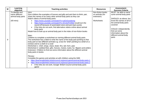 naming animal body parts ks1 lesson plan and worksheets teaching resources