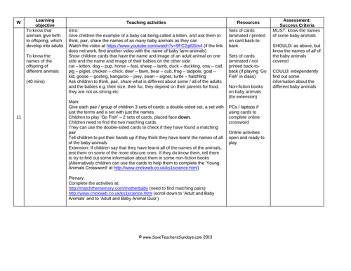 animals-and-their-offspring-ks1-lesson-plan-and-matching-activity