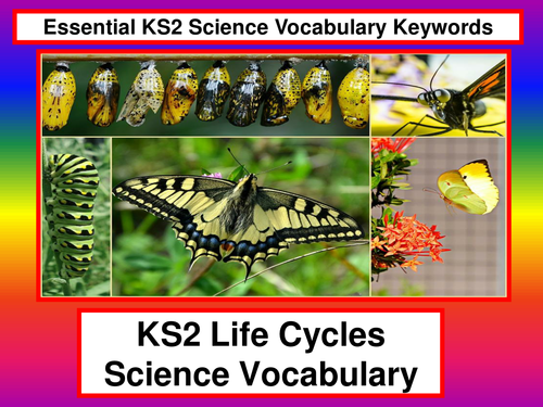 KS2 Life Cycles Science Vocabulary + Flashcards + 31 Fun Teaching Ideas