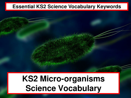 KS2 Micro-organisms Science Vocabulary + Flashcards + 31 Fun Teaching