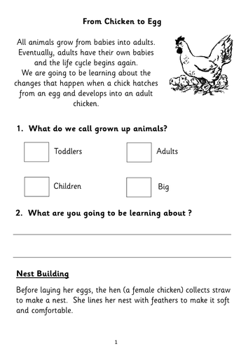 Five Non-fiction Reading Comprehension Booklets for KS1 (based on ...