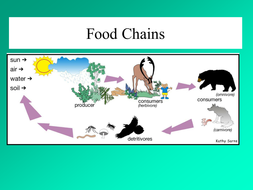 Food Chains: KS3 | Teaching Resources