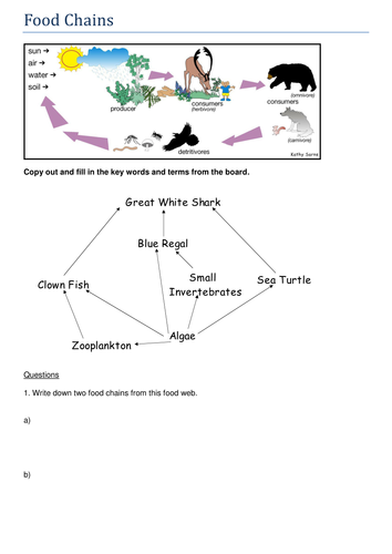 Food Chains: KS3