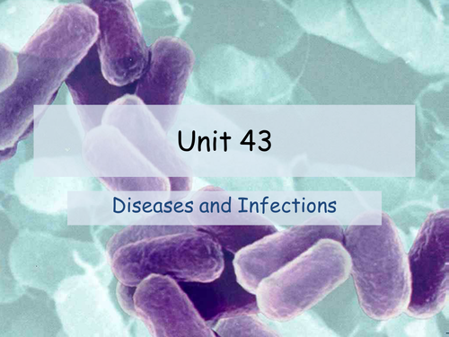 Diseases and Infections ( pathogens/microbes): BUNDLE OF 18 PPTs for BTEC/GCSE/A Level 