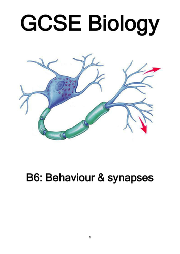 GCSE Biology: Behaviour, the synapse, learning and memory, the brain and mind