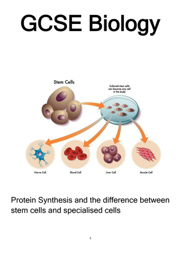 GCSE DNA, gene switching and stem cells Student Booklet