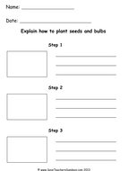 Planting Seeds KS1 Lesson Plan and Worksheet | Teaching Resources