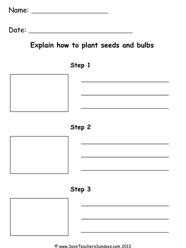 Planting Seeds KS1 Lesson Plan and Worksheet by SaveTeachersSundays