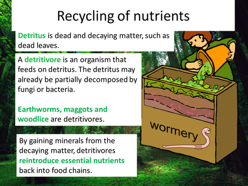 GCSE Biology B7 - Genetic Tech, stem cells, homeostasis, blood, learning from nature 14 RESOURCES