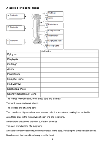 docx, 3.34 MB