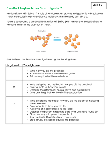 NEW KS3 Assessment Activities - Saliva vs Boiled Saliva