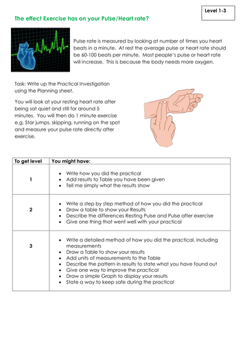 NEW KS3 Assessment Tasks - Exercise effect on Pulse Rate