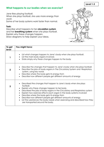 NEW KS3 Assessment Task - Exercise of Circulation and Breathing