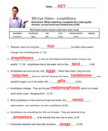 Bill Nye Fossils Worksheet Nidecmege