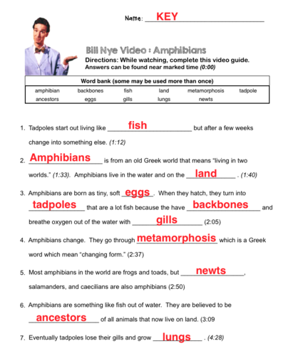 worksheet animal locomotion Guy Worksheet Food Food Web  Bill Science  The Answers Nye