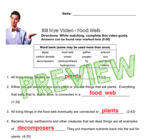 Bill Nye Video Questions - FOOD WEB - w/ time stamp, word bank, and