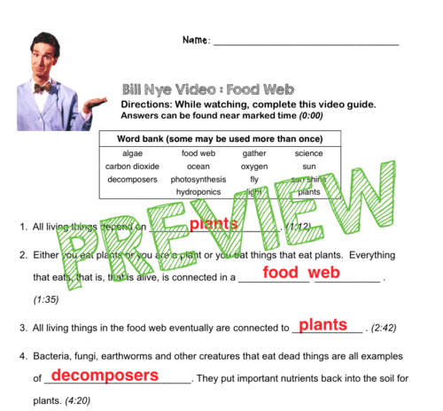Bill Nye Video Questions - FOOD WEB - w/ time stamp, word bank, and answer key