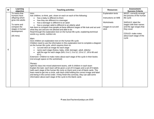 Human Life Cycle KS1 Lesson Plan, Explanation Text and Worksheet