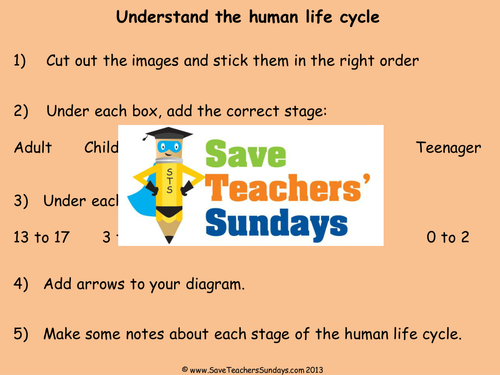 Human Life Cycle KS1 Lesson Plan, Explanation Text and Worksheet by