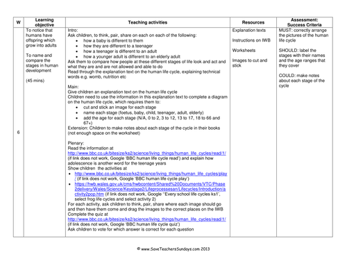 Human Life Cycle KS1 Lesson Plan, Explanation Text and Worksheet