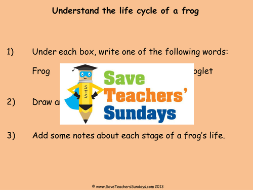 Frog Life Cycle KS1 Lesson Plan, Explanation Text and Worksheet by