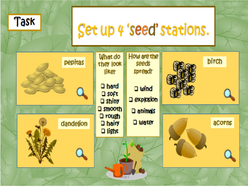 Plants, Seeds and Fruits Science Bundle | Teaching Resources