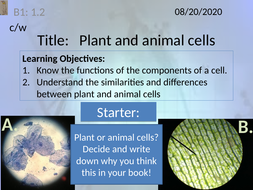 Key Stage 3_ Plant and Animal Cells_L2 | Teaching Resources