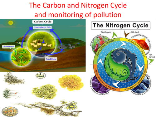 GCSE Biology: The Carbon and Nitrogen Cycle and monitoring of pollution