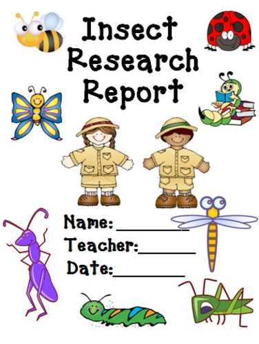 Insect Research Report by theteacherteam - Teaching Resources - TES