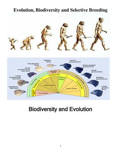 GCSE Food Chains, species, adaptations, selective breeding, evolution, biodiversity: 3 RESOURCES