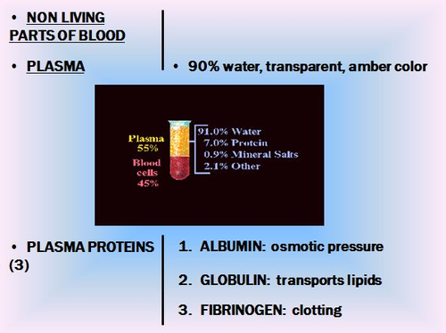Blood Notes-Platelets & The Physiology of Blood Powerpoint Presentation ...