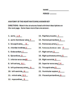 Anatomy of the Heart Matching Worksheet | Teaching Resources