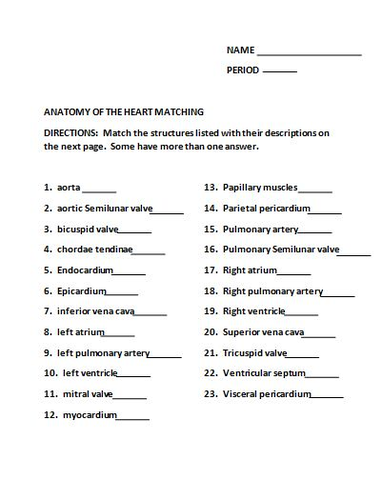 Anatomy of the Heart Matching Worksheet | Teaching Resources