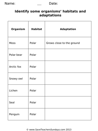 Living Things and Their Habitats Year 2 Planning and Resources ...