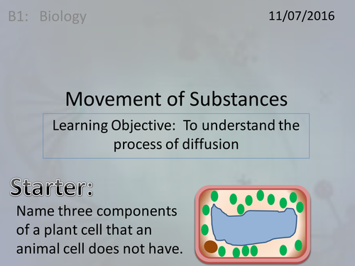 Activate 1: B1: 1.4 Movement of Substances | Teaching Resources