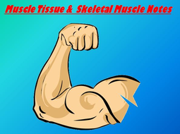 Muscular System Notes - Muscle Tissue Notes Powerpoint Presentation