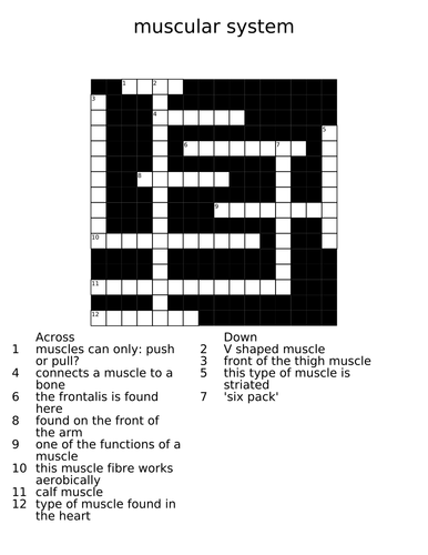 *Musculoskeletal system with crossword* by staceyowl Teaching