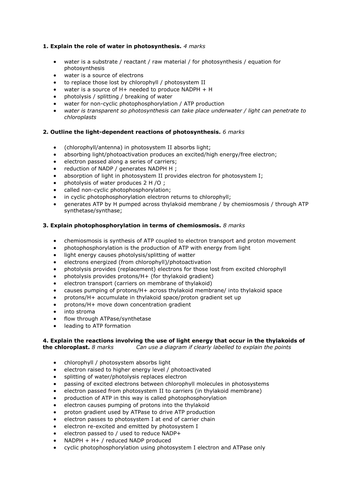 docx, 17.78 KB