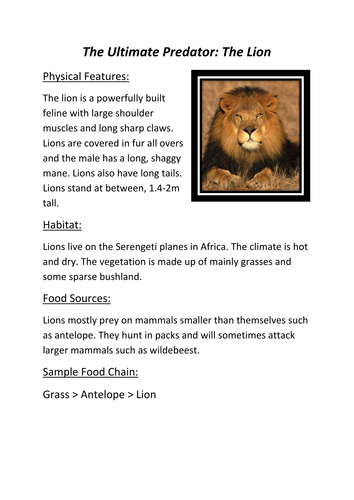 Ultimate Predator Activity Examples | Teaching Resources