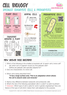 Eukaryotes and Prokaryotes Worksheet - Biology GCSE 2016 | Teaching